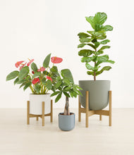 Load image into Gallery viewer, Whispering Waves stand:two_stands