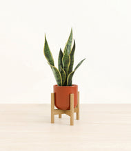 Load image into Gallery viewer, Glossy Red stand:bamboo