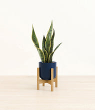 Load image into Gallery viewer, Twilight Blue stand:bamboo