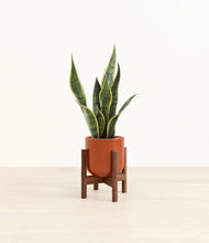 Load image into Gallery viewer, Glossy Red stand:walnut