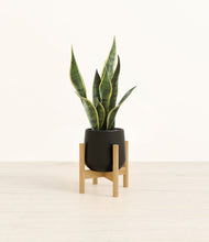 Load image into Gallery viewer, Black stand:bamboo