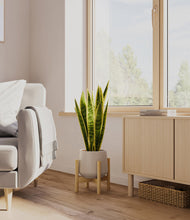 Load image into Gallery viewer, Eternal Gray stand:bamboo