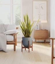 Load image into Gallery viewer, Iron Gray stand:walnut