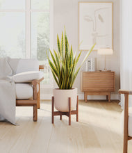 Load image into Gallery viewer, Sandy Pink stand:walnut