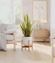 Load image into Gallery viewer, Natural Bamboo stand:bamboo