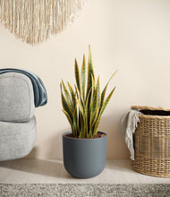 Load image into Gallery viewer, Iron Gray