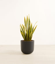 Load image into Gallery viewer, Stone Black*****Profile