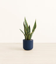 Load image into Gallery viewer, Twilight Blue*****Profile