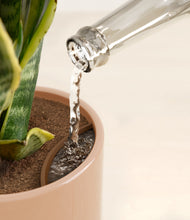 Load image into Gallery viewer, Glossy Pink stand:all