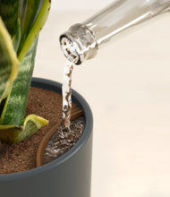 Load image into Gallery viewer, Iron Gray stand:all