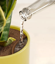 Load image into Gallery viewer, Key Lime Yellow stand:all