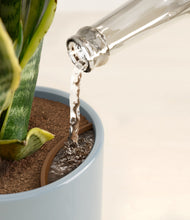 Load image into Gallery viewer, Misty Blue stand:all