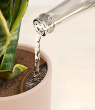 Load image into Gallery viewer, Sandy Pink stand:all