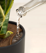 Load image into Gallery viewer, Stone Black stand:all