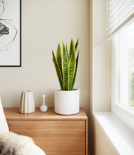 Load image into Gallery viewer, White