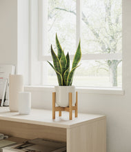 Load image into Gallery viewer, Cotton White stand:bamboo