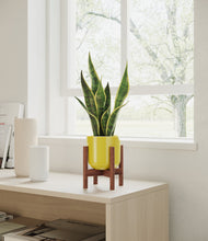 Load image into Gallery viewer, Key Lime Yellow stand:walnut