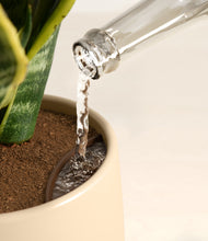 Load image into Gallery viewer, Almond Green stand:all