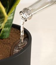 Load image into Gallery viewer, Black stand:all