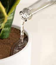 Load image into Gallery viewer, White stand:all