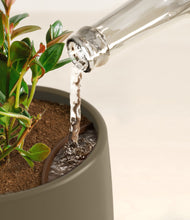 Load image into Gallery viewer, Olive stand:all