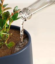 Load image into Gallery viewer, Deep Navy stand:all