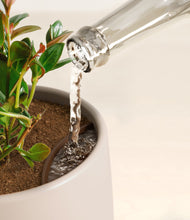 Load image into Gallery viewer, Eternal Gray stand:all