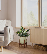 Load image into Gallery viewer, Turquoise stand:walnut