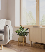 Load image into Gallery viewer, Olive stand:bamboo