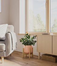 Load image into Gallery viewer, Calm Rose stand:bamboo