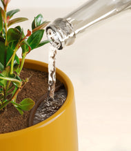 Load image into Gallery viewer, Mustard stand:all