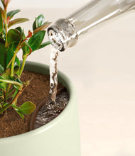 Load image into Gallery viewer, Turquoise stand:all