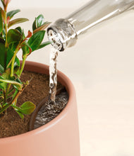 Load image into Gallery viewer, Calm Rose stand:all