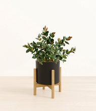 Load image into Gallery viewer, Black stand:bamboo