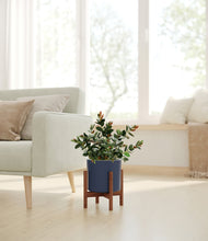 Load image into Gallery viewer, Deep Navy stand:walnut