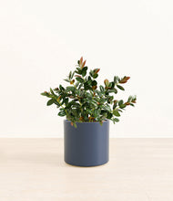 Load image into Gallery viewer, Deep Navy