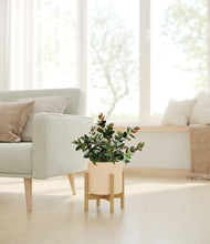 Load image into Gallery viewer, Cream stand:bamboo