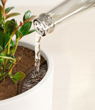 Load image into Gallery viewer, White stand:all