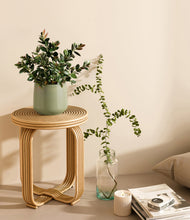 Load image into Gallery viewer, Turquoise