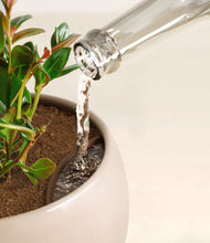 Load image into Gallery viewer, Desert Brown stand:all