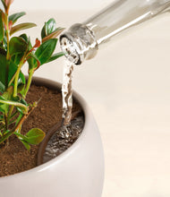 Load image into Gallery viewer, Winter Clouds stand:all