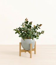 Load image into Gallery viewer, Deep Ocean stand:bamboo