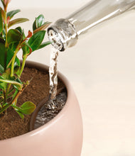 Load image into Gallery viewer, Evening Sky