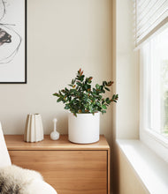 Load image into Gallery viewer, White