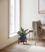 Load image into Gallery viewer, Deep Navy stand:walnut