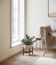 Load image into Gallery viewer, Desert Brown stand:walnut