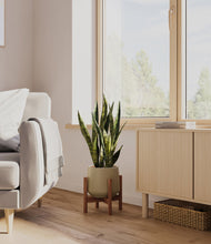 Load image into Gallery viewer, Olive stand:walnut