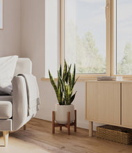 Load image into Gallery viewer, Eternal Gray stand:walnut