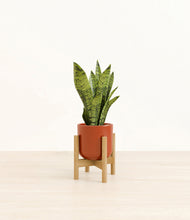 Load image into Gallery viewer, Glossy Red stand:bamboo