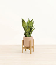 Load image into Gallery viewer, Glossy Pink stand:bamboo